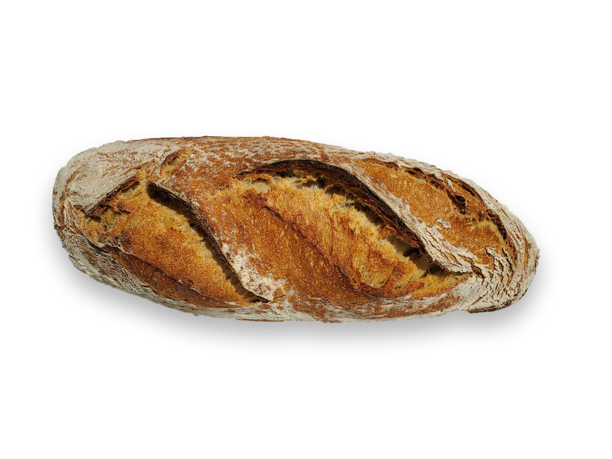 Sarrasin aux graines 500 g